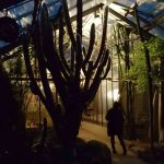 nacht-botanischer-garten_dag
